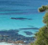 Jervis Bay Marine Park - Tourism Cairns