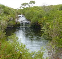 Booderee National Park Green Patch and Telegraph Creek Walking Tracks - Tourism Cairns