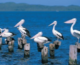 Walpole-Nornalup Inlets - Tourism Cairns 1