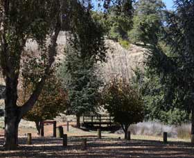 Oak Grove Walk, Balingup - Tourism Cairns 2