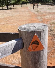Oak Grove Walk, Balingup - Tourism Cairns 3