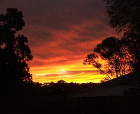 Tinonee Museum - Tourism Cairns 0