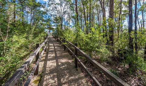 Flat Rock Lookout - Tourism Cairns 2