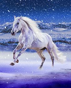 Australian Outback Spectacular: High Country Legends - Tourism Cairns 1