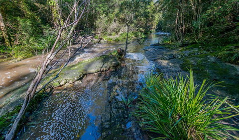 Dawson River Walking Track - Tourism Cairns 0