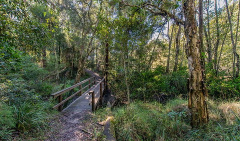 Dawson River Walking Track - Tourism Cairns 1