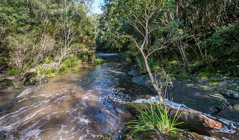 Brimbin Picnic Area - Tourism Cairns 2