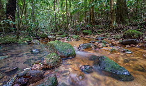 Coorabakh National Park - Tourism Cairns 1