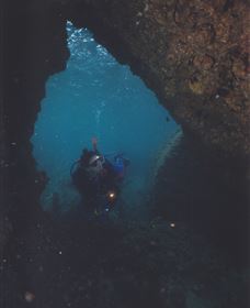Tangalooma Wrecks Dive Site - Tourism Cairns 1