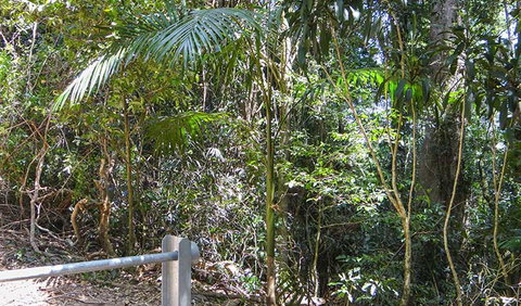 Goorgana Walking Track - Tourism Cairns 0