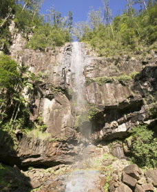 Protesters Falls - Tourism Cairns 0