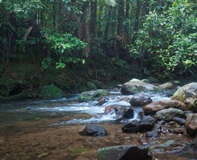 Protesters Falls - Tourism Cairns 1