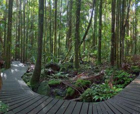 Protesters Falls - Tourism Cairns 4
