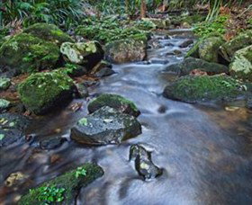 Protesters Falls - Tourism Cairns 7