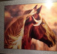 Silk Art Gallery - Tourism Cairns