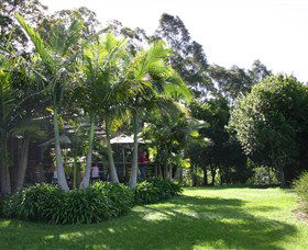 Swans Crossing NSW Tourism Cairns