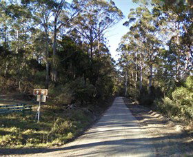 Box Cutting Rainforest Walk - Tourism Cairns 0