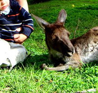 Bunbury Wildlife Park - Tourism Cairns