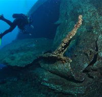 Cementco Dive Site - Tourism Cairns