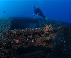 Cementco Dive Site - Tourism Cairns 3