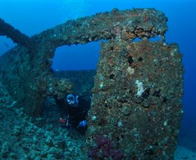Cementco Dive Site - Tourism Cairns 2