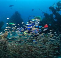 Aarhus Dive Site - Tourism Cairns