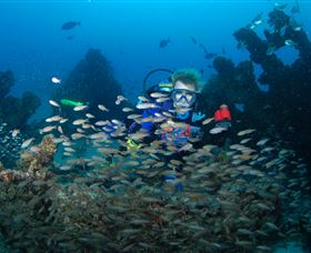 Aarhus Dive Site - Tourism Cairns 0