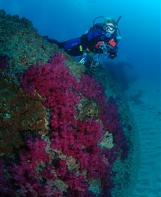 Aarhus Dive Site - Tourism Cairns 2