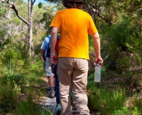 Naree Budjong Djara National Park - Tourism Cairns 3