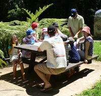 The Pines picnic area - Tourism Cairns