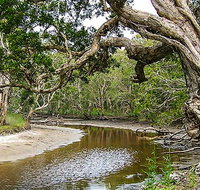 Saltwater National Park - Tourism Cairns