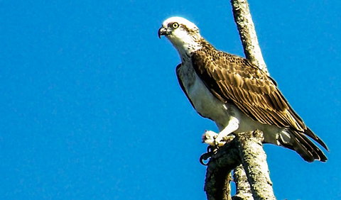 Saltwater National Park - Tourism Cairns 1