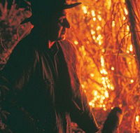 The Shed Gallery - Tourism Cairns