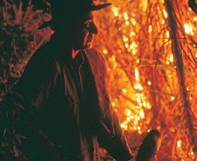 The Shed Gallery - Tourism Cairns 0