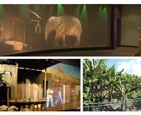 The Big Banana - Tourism Cairns 2