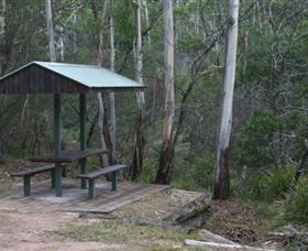  Tourism Cairns
