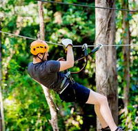 TreeTop Challenge Currumbin - Tourism Cairns