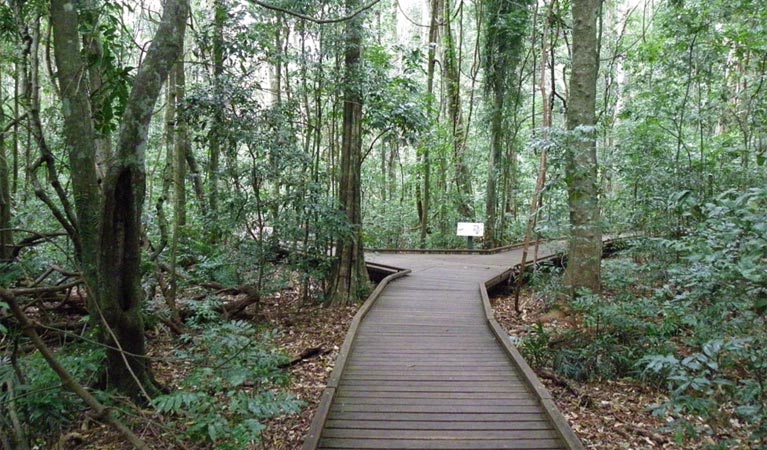 Dalwood NSW Tourism Cairns