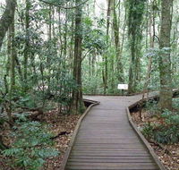 Victoria Park boardwalk - Tourism Cairns