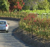Cassegrain Wines - Tourism Cairns