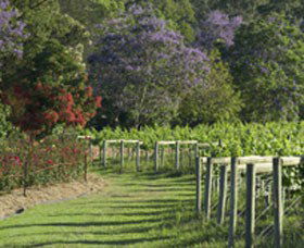 Cassegrain Wines - Tourism Cairns 1