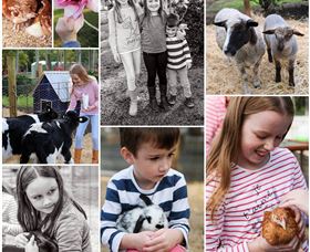 Roses Vineyard And Animal Farm - Tourism Cairns 1