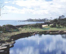 Angourie Blue Pool - Tourism Cairns 1