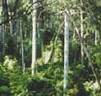 Lind National Park - Tourism Cairns