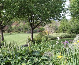 Ivy Hill Gallery - Tourism Cairns 3