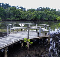 Walk on Water walking track - Tourism Cairns