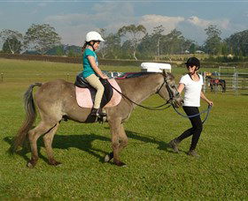 Port Macquarie Horse Riding Centre - Tourism Cairns 0