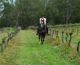 Port Macquarie Horse Riding Centre - Tourism Cairns 1