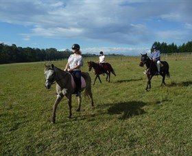Port Macquarie Horse Riding Centre - Tourism Cairns 5