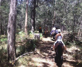 Port Macquarie Horse Riding Centre - Tourism Cairns 4